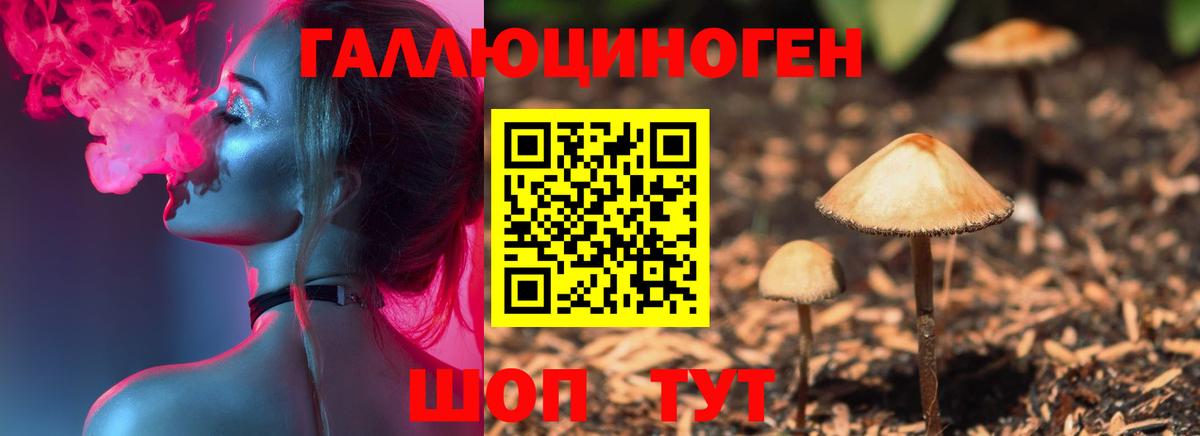 Галлюциногенные грибы GOLDEN TEACHER  Вход с VPN  Советский 